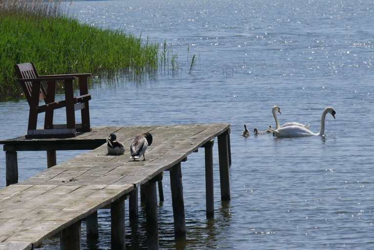 View from property 4, Hausboot in Kroeslin am Bodden, Vorpommern-Greifswald