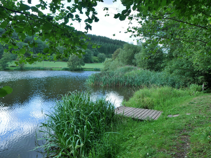 View from property 5, Apartment in Eifel Near Hiking Trails, Vulkaneifel