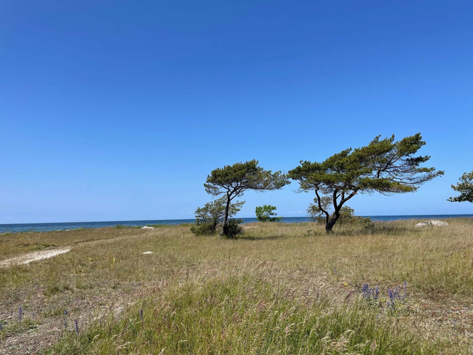 Miscellaneous 3, 4 Star Holiday Home in Visby, Gotland