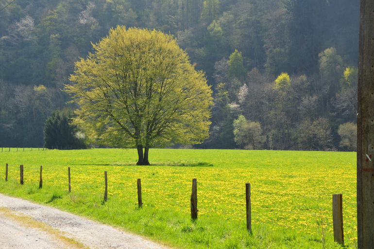 View from property, Ardennes Escape House for 12 People, Luxembourg