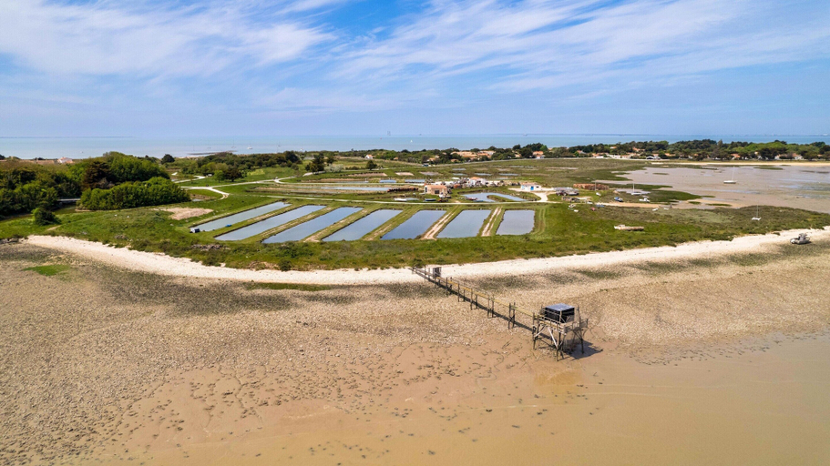 View from property 2, Apartment in Ars-en-re Near Bird Sanctuary, Charente-Maritime
