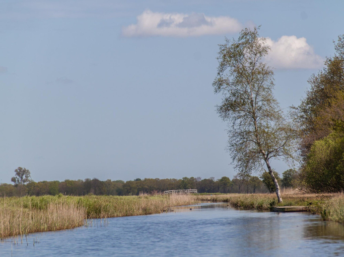 View from property 3, Luxury Group Retreat in Nature, Weststellingwerf