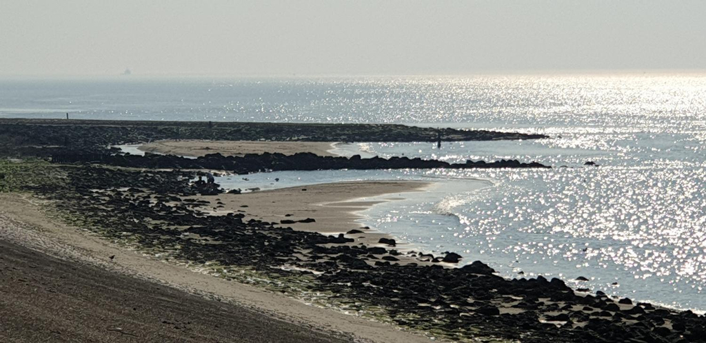 Others 2, Long Stay Den Helder, Den Helder