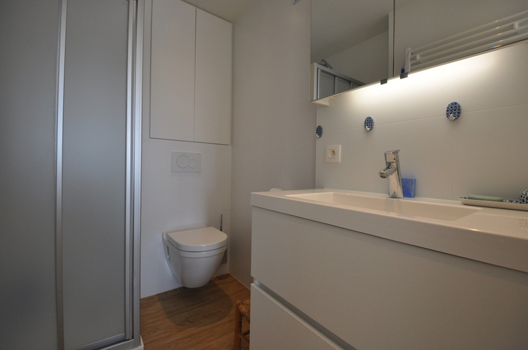 Bathroom, Apartment in Belgium Near Seafront & Casino, West-Vlaanderen