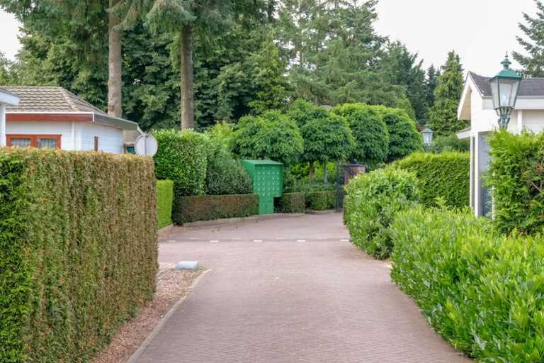 View from property 3, Chalet in Veluwe Near Kootwijkerzand, Putten