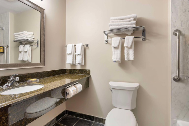 Bathroom 4, Best Western Plus Brandon Inn, Division No. 7