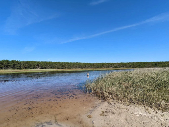 Water view 2, 5 Person Holiday Home in Ulfborg, Ringkøbing-Skjern