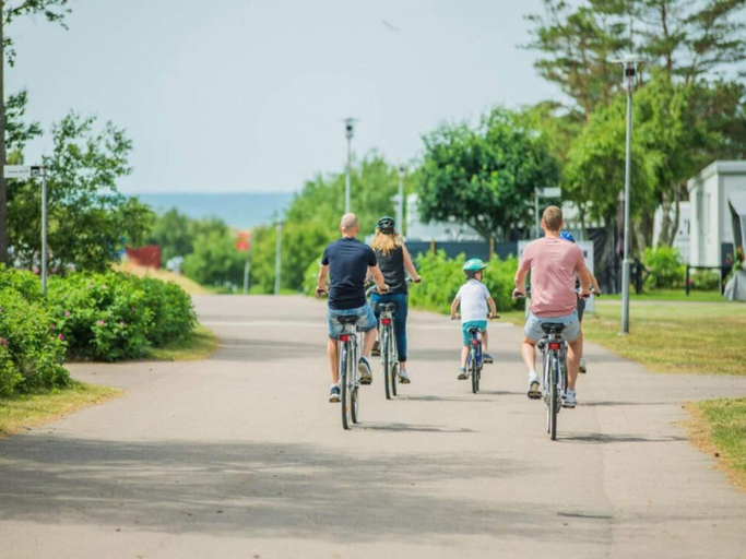 Miscellaneous 4, 5 Person Holiday Park Home in Krusa, Aabenraa