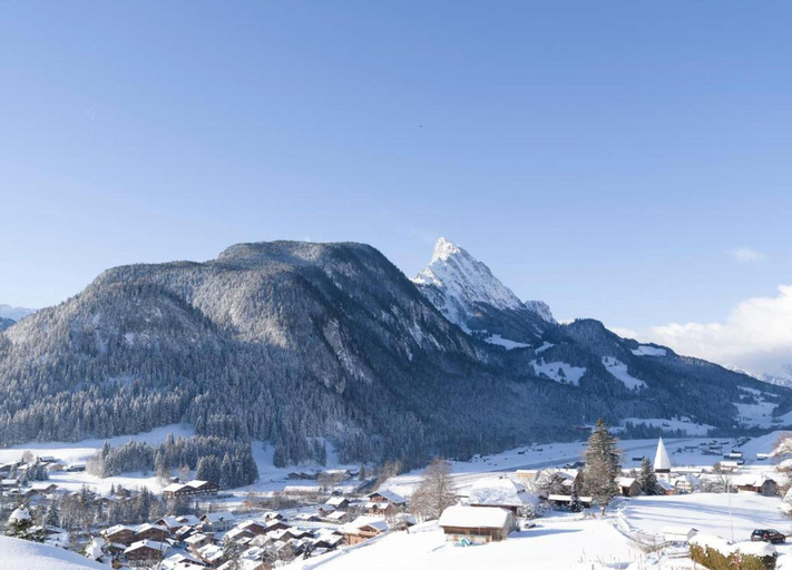 Others 5, Cosy Chalet With Garden, Pays-d'Enhaut