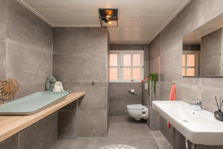 Bathroom 3, Group House in Twente With Hot Tub, Enschede
