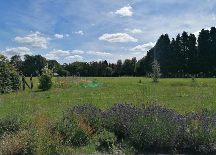 View from property 5, Farmhouse in Veluwe Near Speulderbos, Ermelo