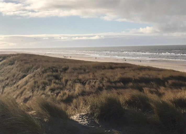 View from property 4, Apartment With Dunes View of Petten, Zijpe
