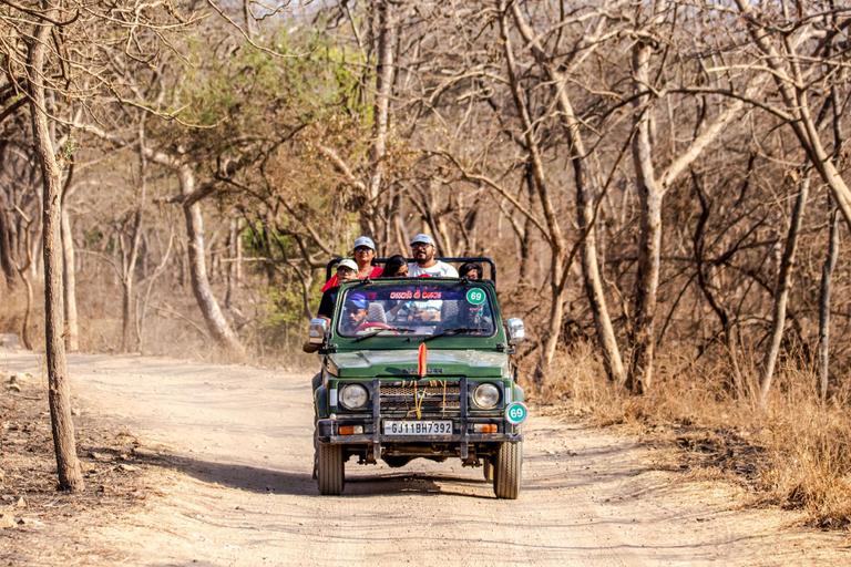 Others 5, Gir Garjna - A Luxury Resort, Gir Somnath