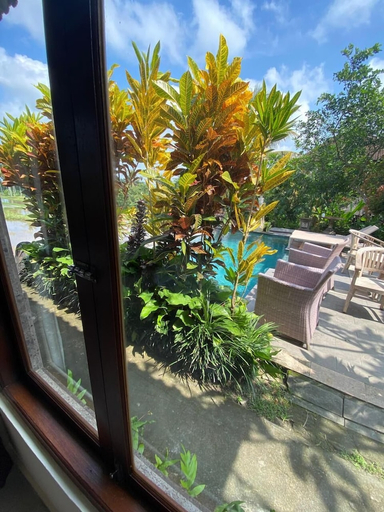 outdoor_view 17