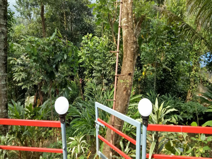 Others 5, The Wayside Farm Cottage Munnar, Idukki