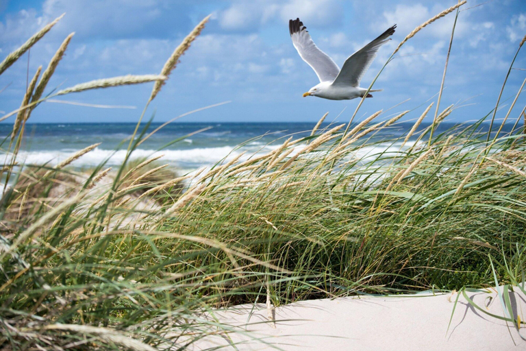 View from property 3, Apartment Albertstrand With Stunning Seafront View, West-Vlaanderen