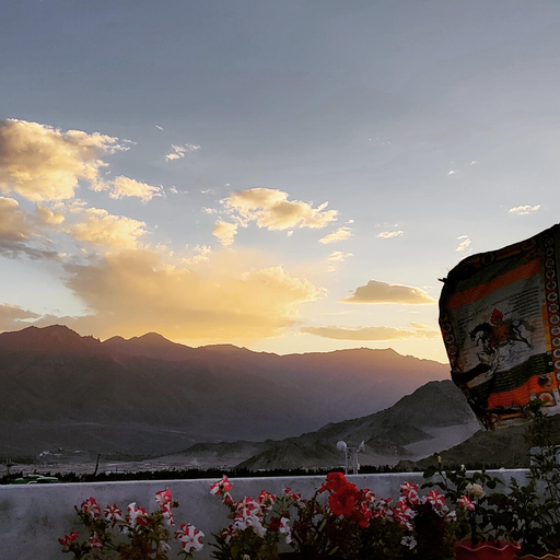 Others 2, Eilla Homestay , Leh