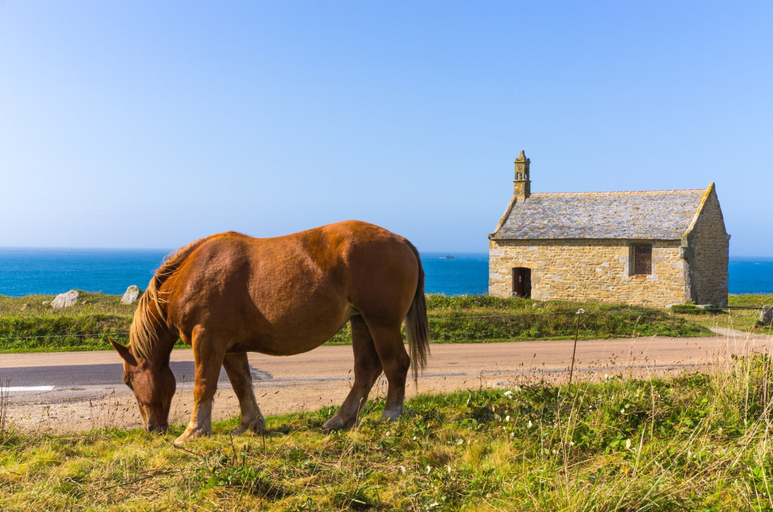 Exterior 2, House in Ploudalmezeau With Beach Access, Finistère