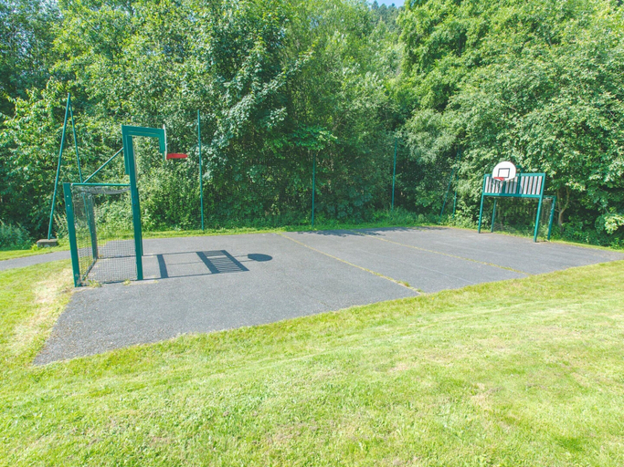 Sport court, Apartment in Alsace With Heated Pool & Sauna, Bas-Rhin