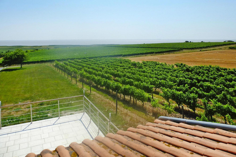 Garden 5, Holiday Home in Chenac With Stunning Terrace Views, Charente-Maritime