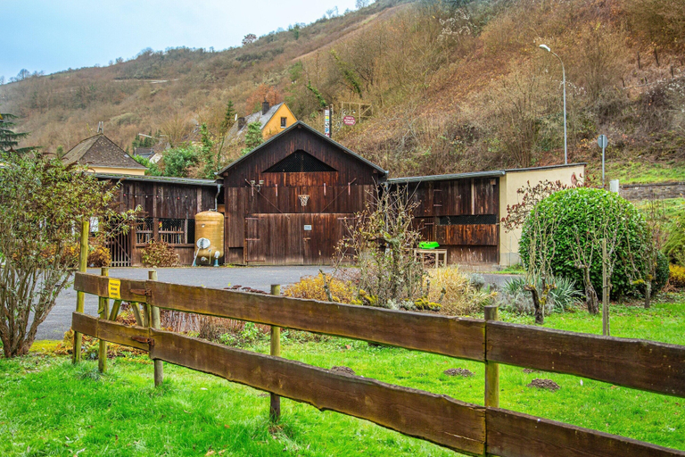 Garden 4, Winery Retreat in Germany With Wine Cellar, Rhein-Hunsrück-Kreis