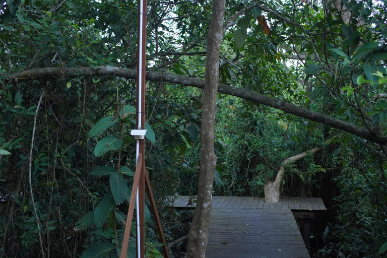 Others 2, Rumbia Lodge, Barito Kuala