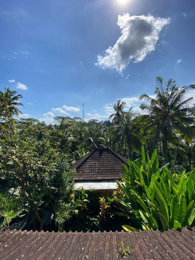 scenery