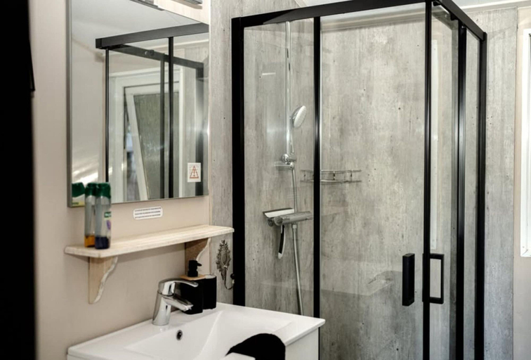 Bathroom, Chalet in Veluwe Near Kootwijkerzand, Putten