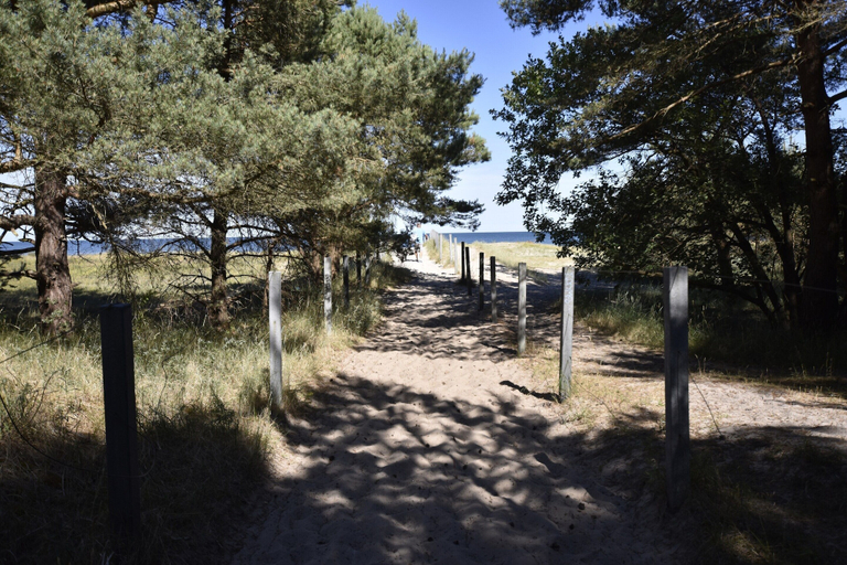 View from property 2, Schones Ferienhaus im Nationalpark Granitz, Vorpommern-Rügen