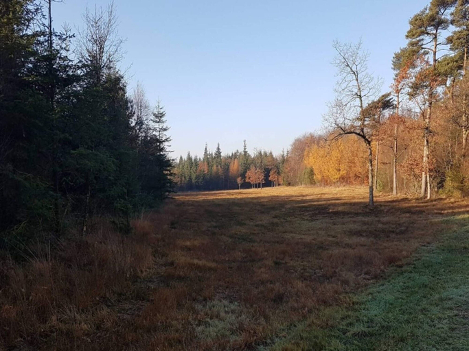 Miscellaneous 3, 4 Person Holiday Home in Skaerbaek, Tønder