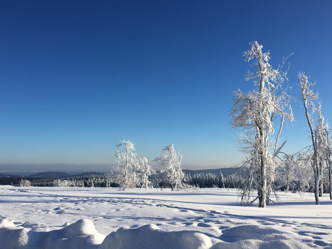 View from property 4, Spacious Flat Near Hiking Trails, Hochsauerlandkreis