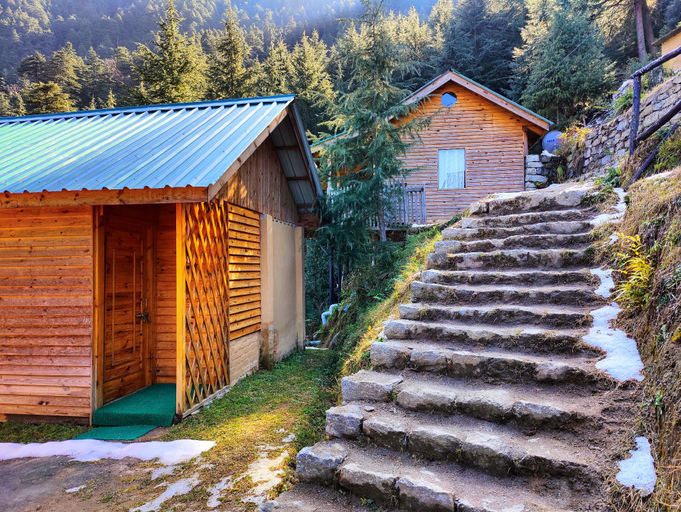 Others 4, Mid Conifer, Chamba
