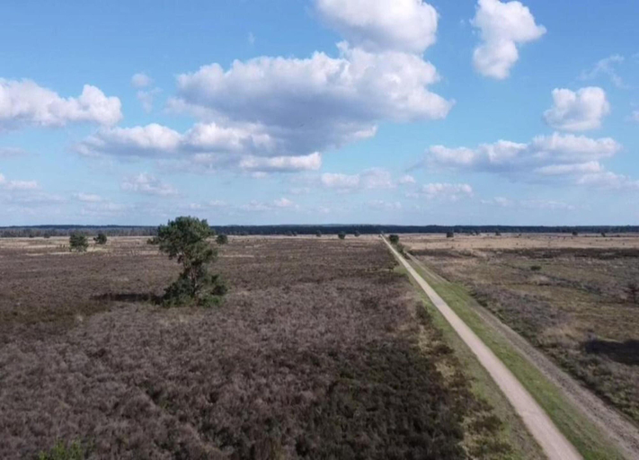 View from property 4, Pets Welcome, Veluwe Farmhouses for All, Ermelo