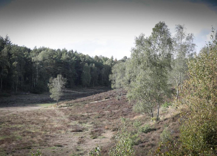 View from property 2, Forest Farmhouse w/ Private Garden, Ermelo