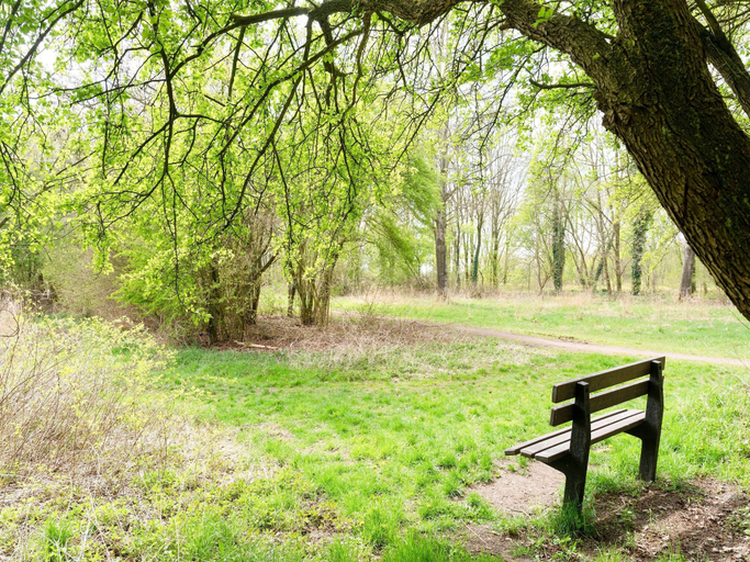 View from property 5, Holiday Home in Elim Near Slagharen Park, Hoogeveen