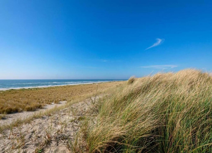 View from property 5, Apartment in Sint Maartenszee Near Beach, Zijpe