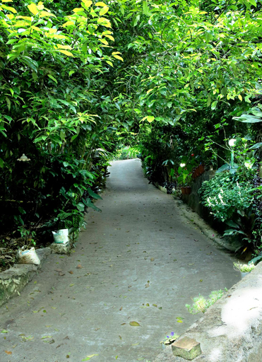 Others 4, The Wayside Farm Cottage Munnar, Idukki