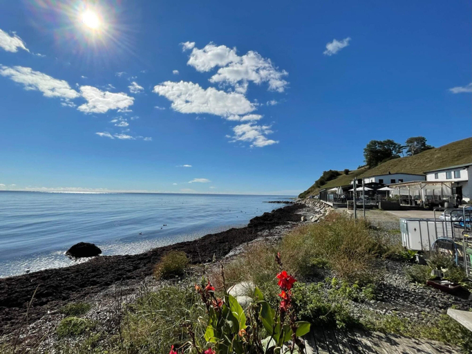 Beach, 4 Person Holiday Home in Kopingebro, Ystad