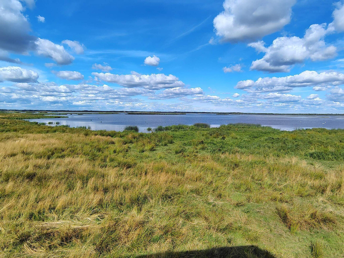 Others 2, 6 Person Holiday Home in Hemmet, Ringkøbing-Skjern
