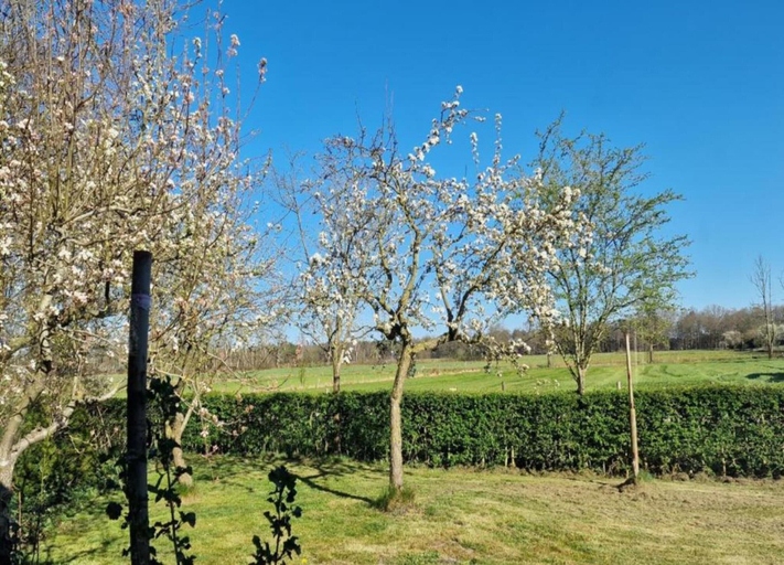 View from property 4, Farmhouse in Veluwe Near Speulderbos, Ermelo