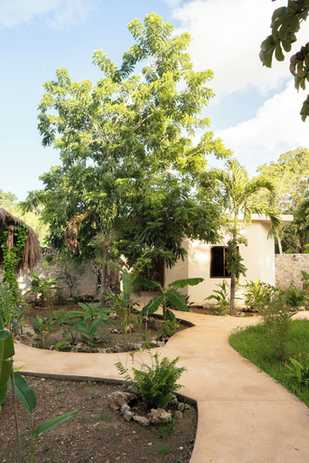 Others 5, Casa Cactus Buenavista, Othón P. Blanco