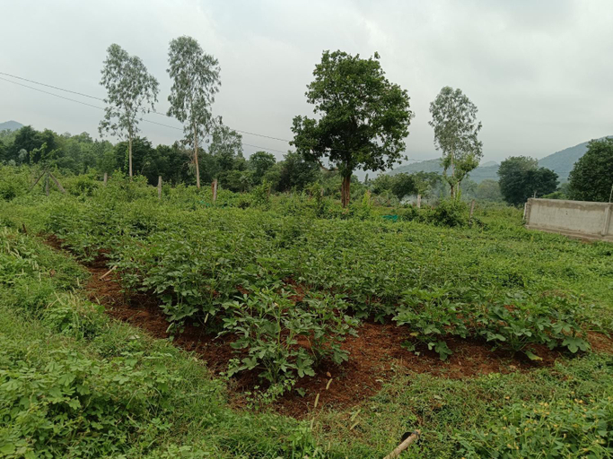 Others 3, My Dream Land Nature Resort, Visakhapatnam