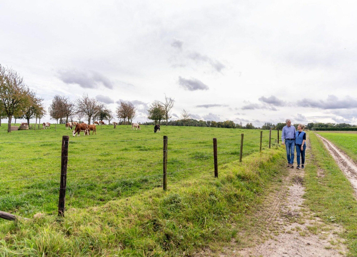 View from property 4, Holiday Home Near Bemelerberg Reserve, Margraten