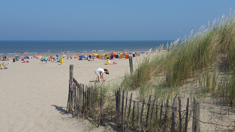 View from property 4, Holiday Home in Noordwijkerhout by Forest & Lake, Noordwijk