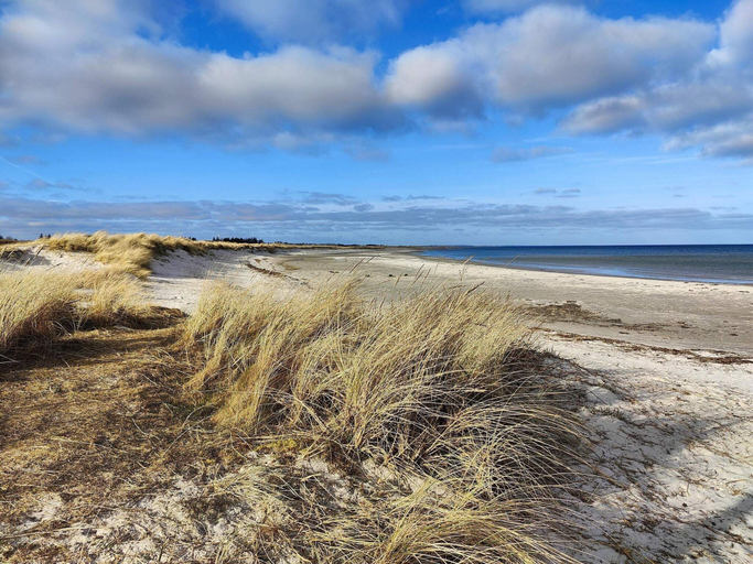 Beach, 4 Star Holiday Home in Asaa, Brønderslev
