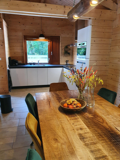 Private kitchen 3, Villa in Forest With Private Sauna, Hof van Twente