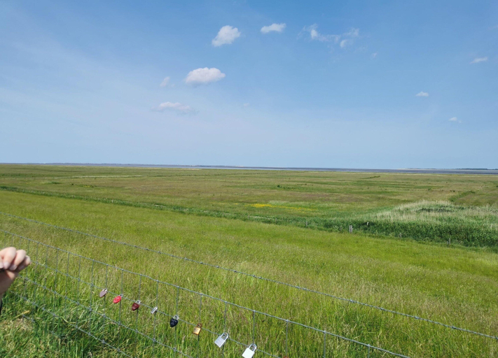 View from property 2, Greetjehaus in Westerbur, Aurich