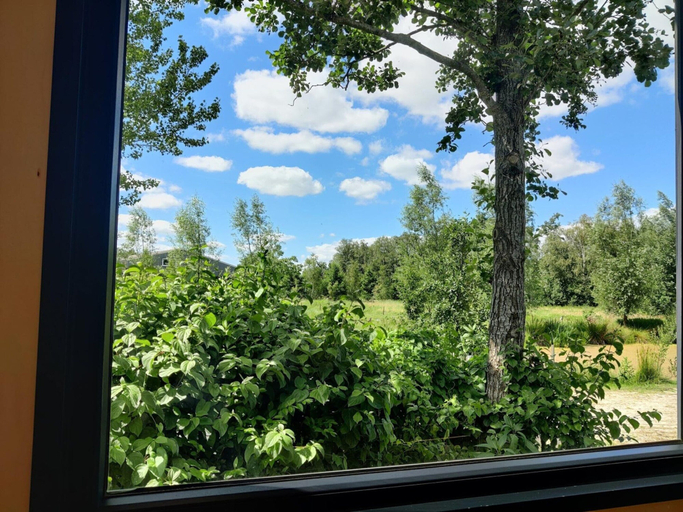 View from property 3, Holiday Home in Netherlands for a Peaceful Retreat, Weststellingwerf