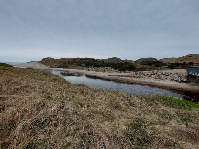 Others 4, 6 Person Holiday Home in Henne, Varde