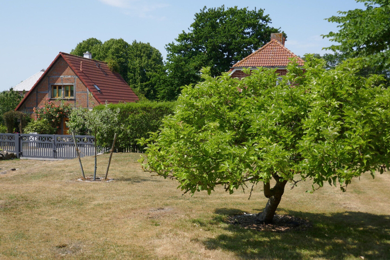 Garden 2, Ferienhaus Sturmfrei auf Fehmarn, Ostholstein